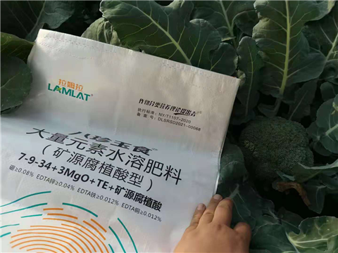 大量元素水溶肥，拉姆拉，翠姆
