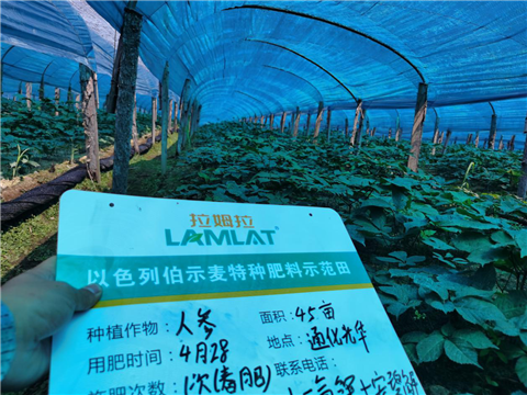 水溶肥，拉姆拉，翠姆