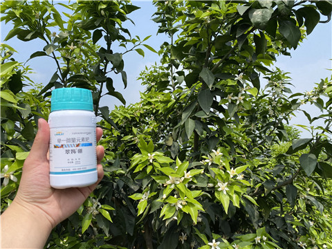 硼肥，拉姆拉，翠姆