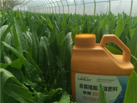 水溶肥，翠姆，拉姆拉