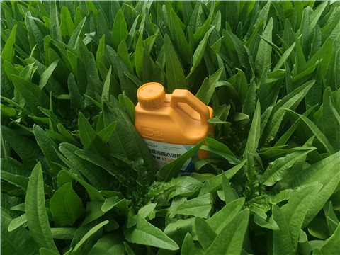 水溶肥，翠姆，拉姆拉