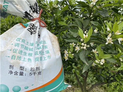 水溶肥，翠姆，拉姆拉