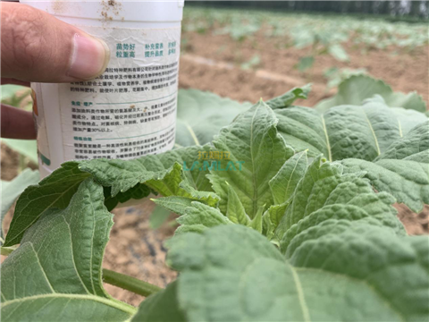 水溶肥，翠姆，拉姆拉