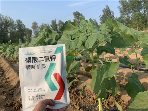 水溶肥，翠姆，拉姆拉