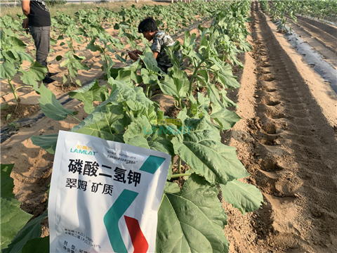 水溶肥，翠姆，拉姆拉