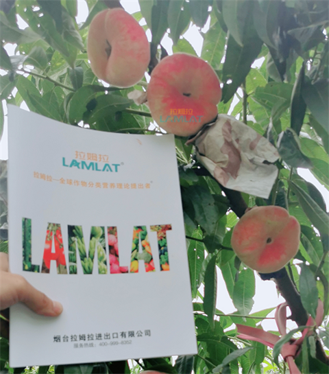 水溶肥，翠姆，拉姆拉