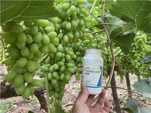 水溶肥，翠姆，拉姆拉