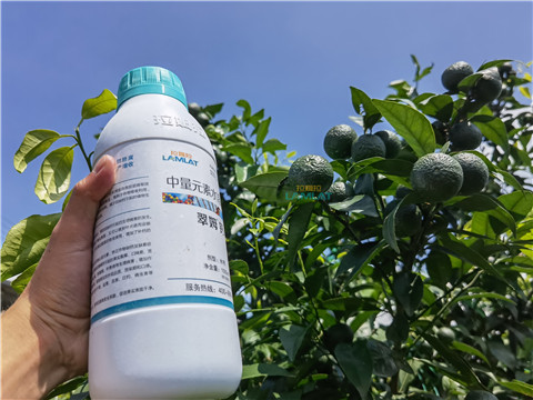 水溶肥，翠姆，拉姆拉