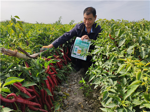 水溶肥，翠姆，拉姆拉
