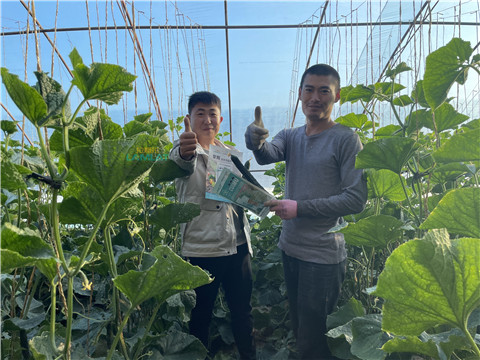 水溶肥，翠姆，拉姆拉