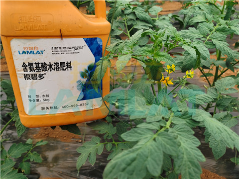 水溶肥，翠姆，拉姆拉