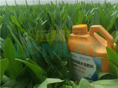水溶肥，翠姆，拉姆拉