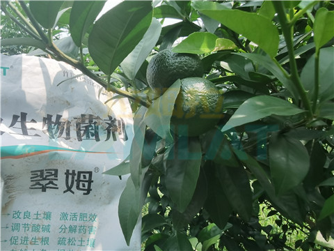 微生物菌劑，翠姆，拉姆拉