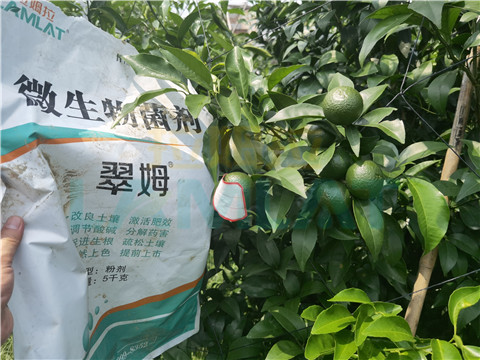 微生物菌劑，翠姆，拉姆拉