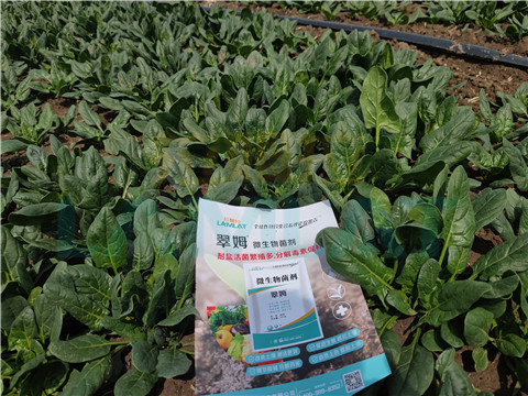 水溶肥，翠姆，拉姆拉