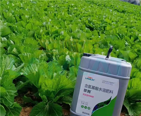 水溶肥，翠姆，拉姆拉