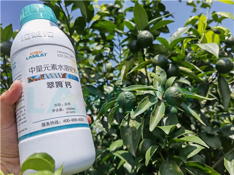 水溶肥，拉姆拉，翠姆