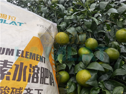 水溶肥，拉姆拉，翠姆