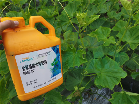 水溶肥，拉姆拉，翠姆