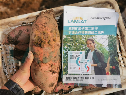 水溶肥，拉姆拉，翠姆