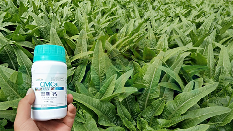 水溶肥，拉姆拉，翠姆