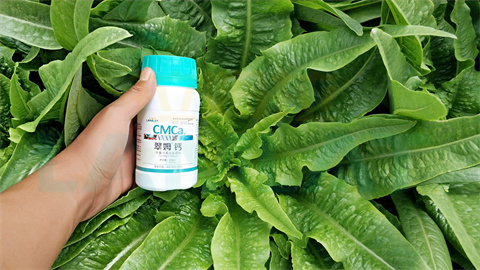 水溶肥，拉姆拉，翠姆