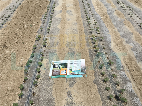 水溶肥，拉姆拉，翠姆