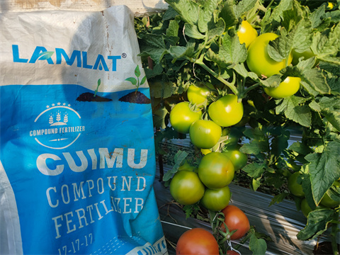 水溶肥，拉姆拉，翠姆