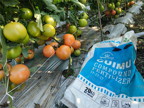 水溶肥，拉姆拉，翠姆