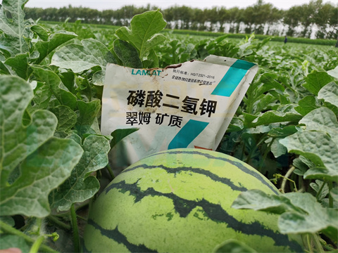 水溶肥，拉姆拉，翠姆