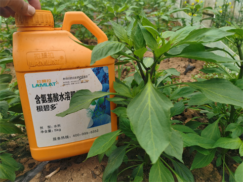 水溶肥，翠姆，拉姆拉