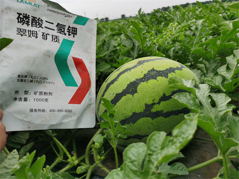 水溶肥，翠姆，拉姆拉