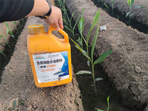 魚蛋白水溶肥,翠姆,大姜 魚蛋白水溶肥,翠姆,大姜