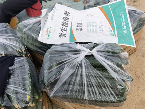 水溶肥品牌,翠姆,黃瓜水溶肥 水溶肥品牌,翠姆,黃瓜水溶肥