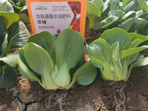 水溶肥,翠姆,拉姆拉 水溶肥,翠姆,拉姆拉