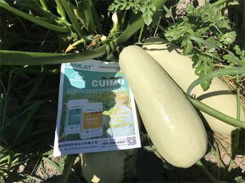 水溶肥,翠姆,葫蘆瓜種植 水溶肥,翠姆,葫蘆瓜種植