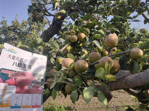 水溶肥,翠姆,拉姆拉 水溶肥,翠姆,拉姆拉