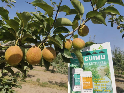 水溶肥,翠姆,香梨水溶肥 水溶肥,翠姆,香梨水溶肥