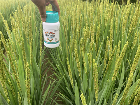 水溶肥,翠姆,拉姆拉 水溶肥,翠姆,拉姆拉