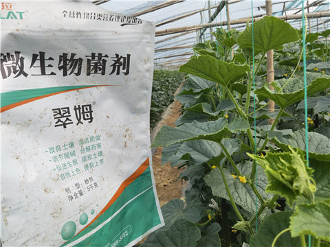 翠姆水溶肥,翠姆,拉姆拉 翠姆水溶肥,翠姆,拉姆拉