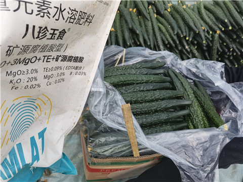 水溶肥,翠姆,拉姆拉水溶肥 水溶肥,翠姆,拉姆拉水溶肥