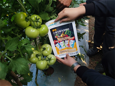 水溶肥,翠姆,番茄水溶肥 水溶肥,翠姆,番茄水溶肥