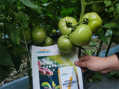 水溶肥,翠姆,番茄水溶肥 水溶肥,翠姆,番茄水溶肥