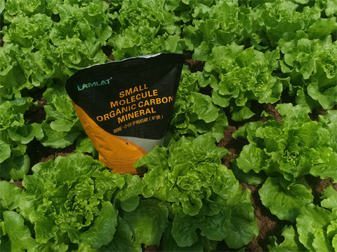 水溶肥,翠姆,生菜水溶肥 水溶肥,翠姆,生菜水溶肥