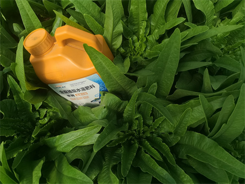 水溶肥,翠姆,油麥菜水溶肥 水溶肥,翠姆,油麥菜水溶肥