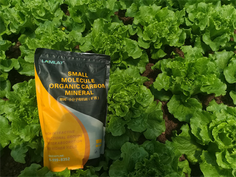 水溶肥,翠姆，蔬菜水溶肥