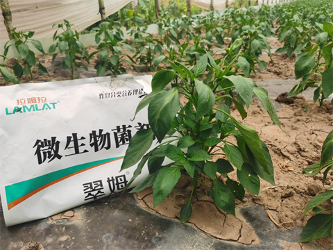 微生物菌劑,翠姆,拉姆拉 微生物菌劑,翠姆,拉姆拉