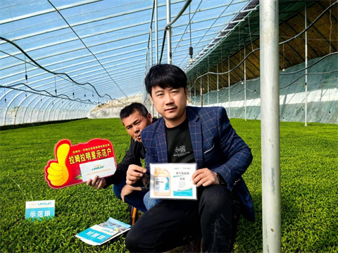 水溶肥,翠姆,辣椒種植 水溶肥,翠姆,辣椒種植