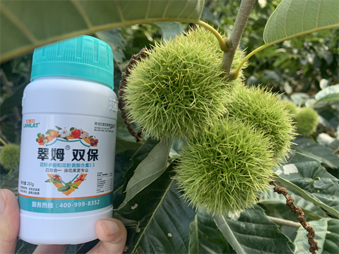 水溶肥品牌,板栗?；ū９?翠姆雙保